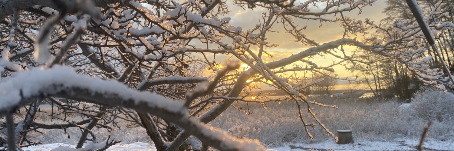 Flingan77's profile banner image