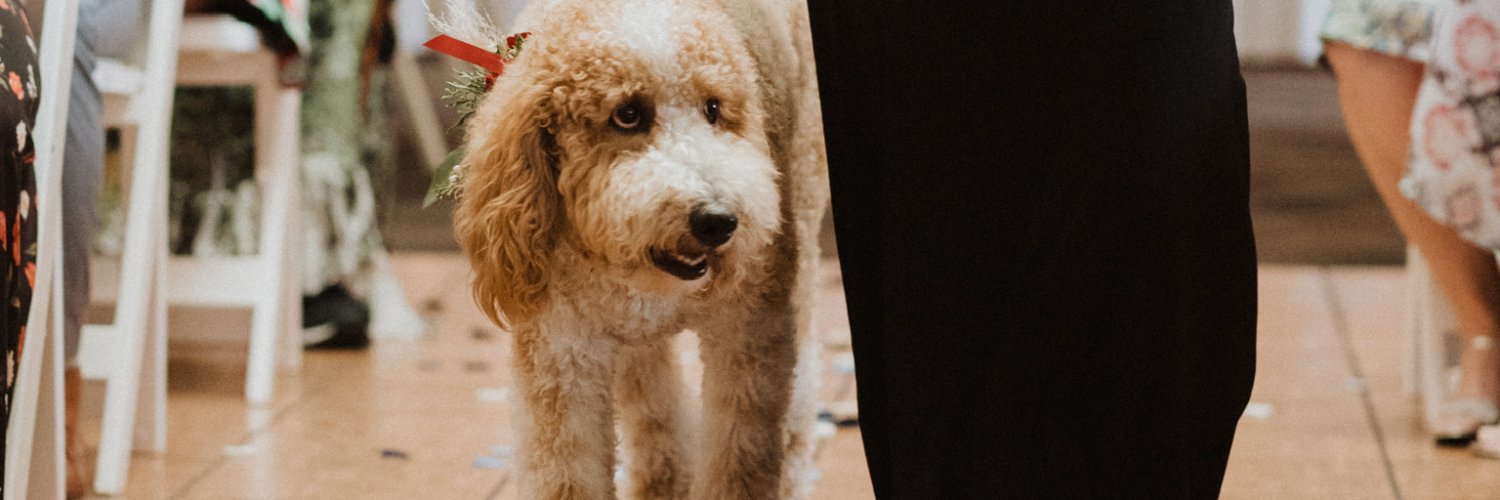 thanos snap to all assholes in the universe banner