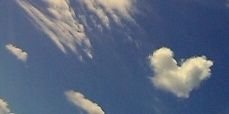 EmilioEstrada70's profile banner image