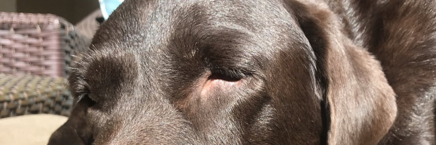 J. Daniel Beckman banner