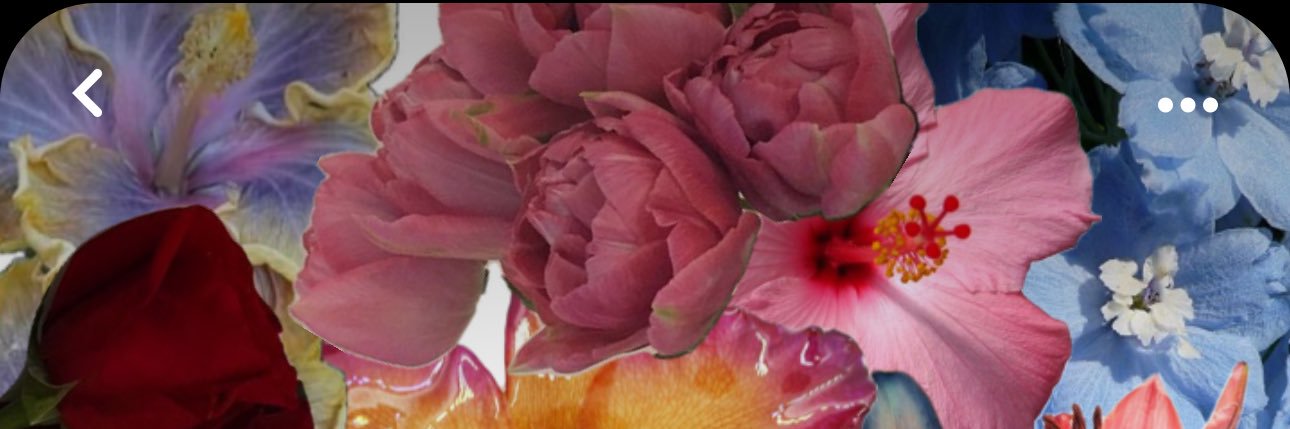 tayallaina's profile banner image
