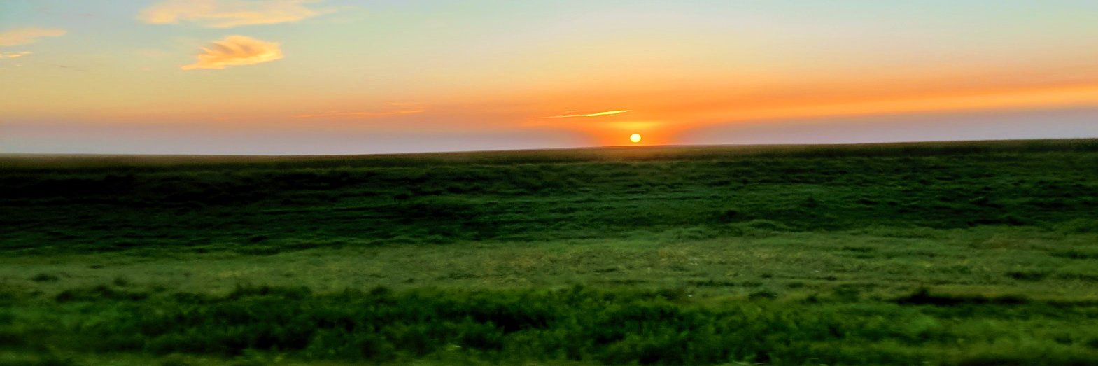 evanpeterson's profile banner image