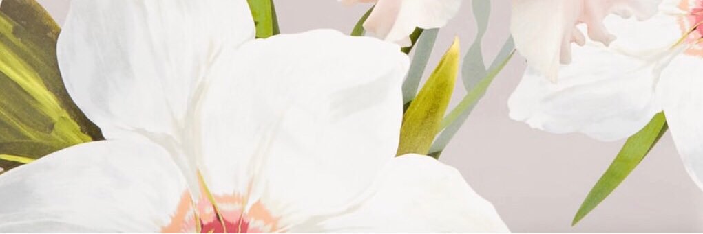 CeltMadison's profile banner image