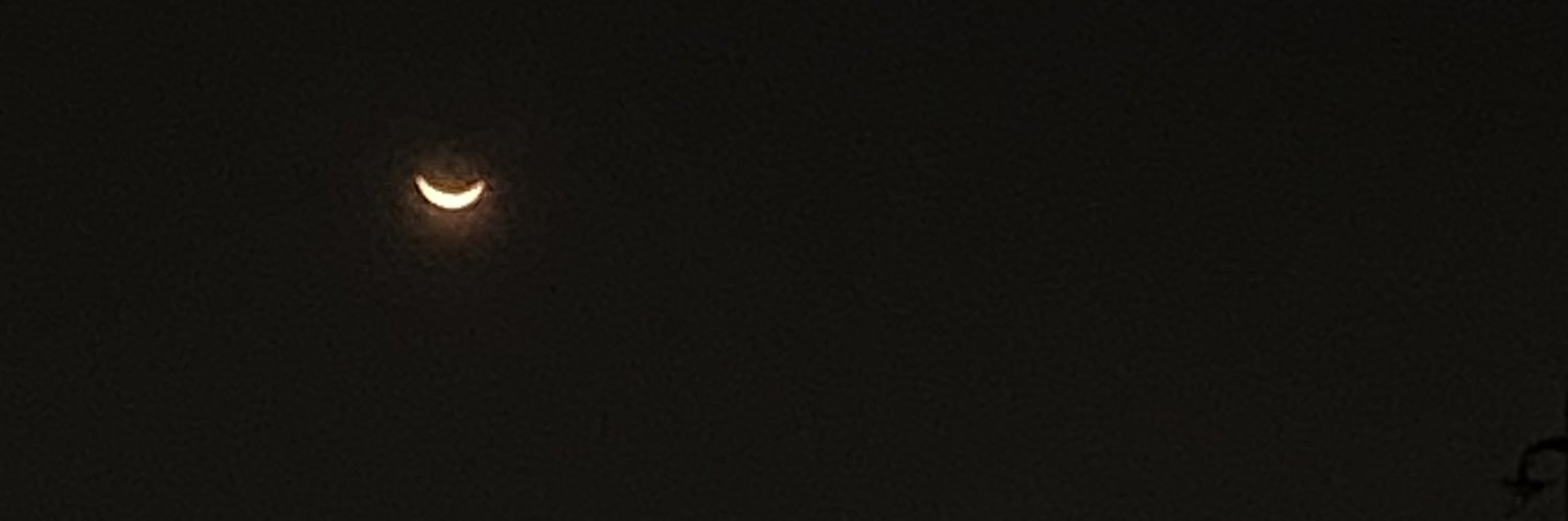 dotorinoo's profile banner image