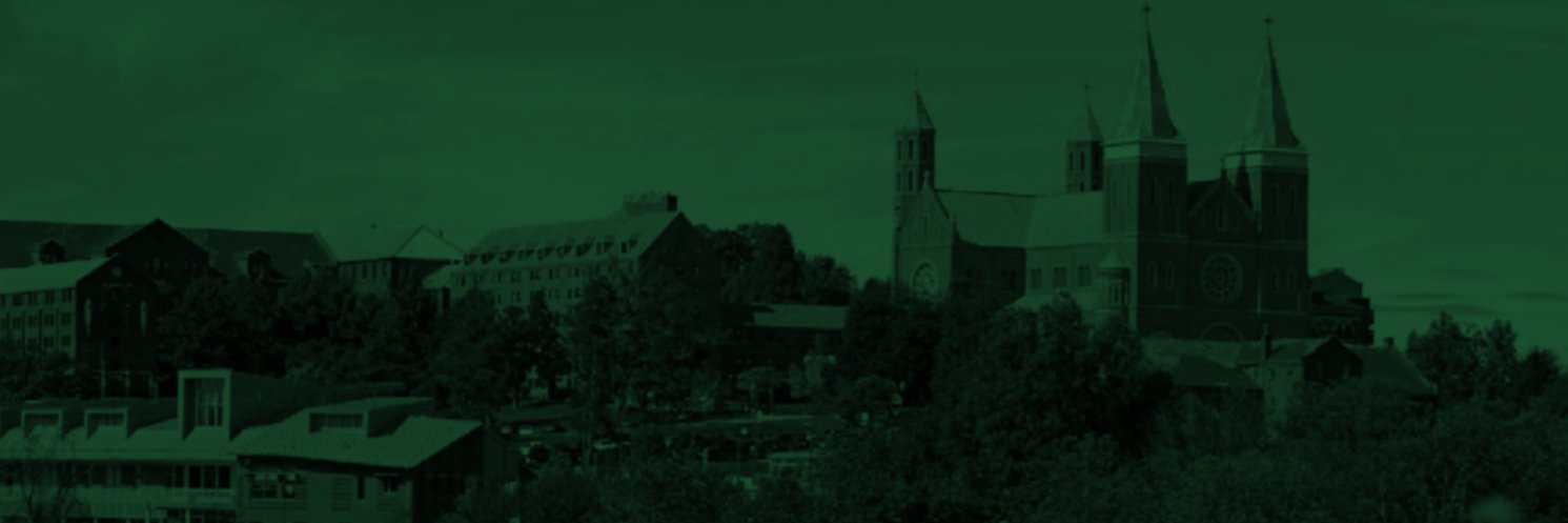 Saint Vincent College Football banner