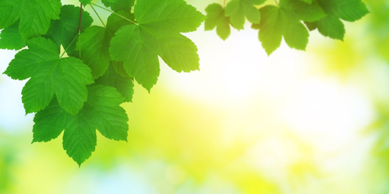 HeleneFound's profile banner image
