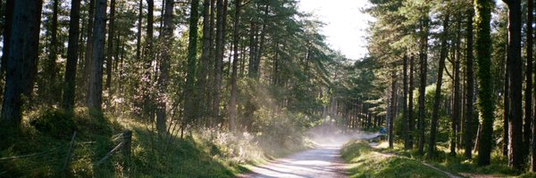 SamAirey Profile Banner