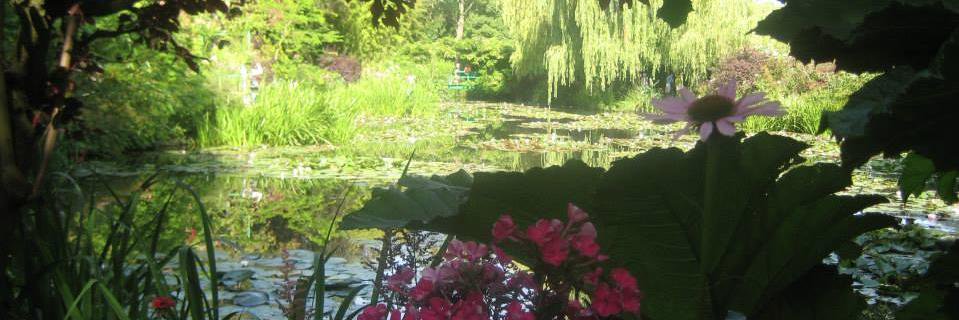 Beth Smith, CT banner