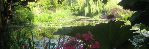 BethTranslates Profile Banner