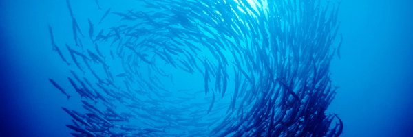 SeafoodWatch Profile Banner