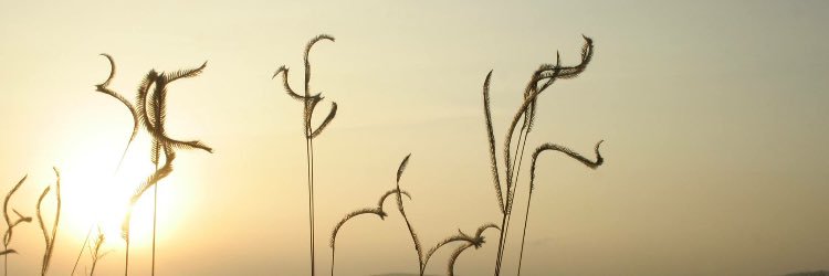theolive14's profile banner image