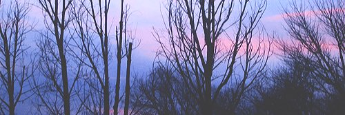 tefiraamos's profile banner image