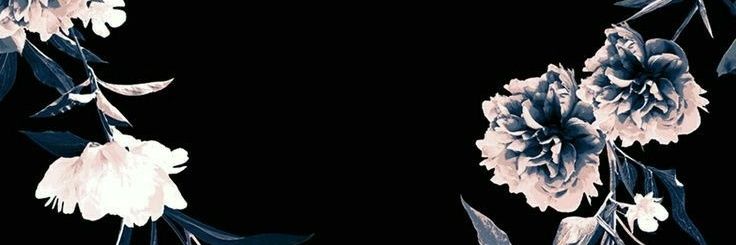 camispringer's profile banner image