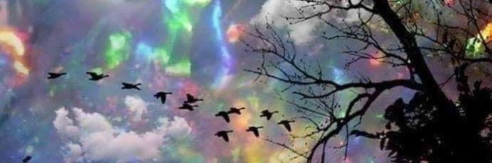 #eReferenceDesk☞ Joe banner