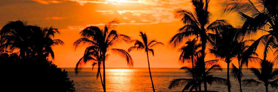 SwandharuID's profile banner image