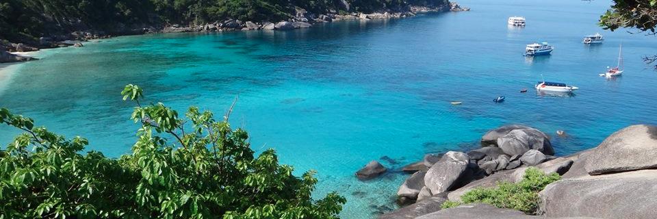 محمد النجدي banner