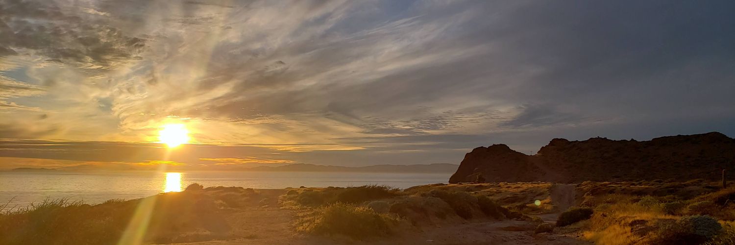 RoseDV64's profile banner image