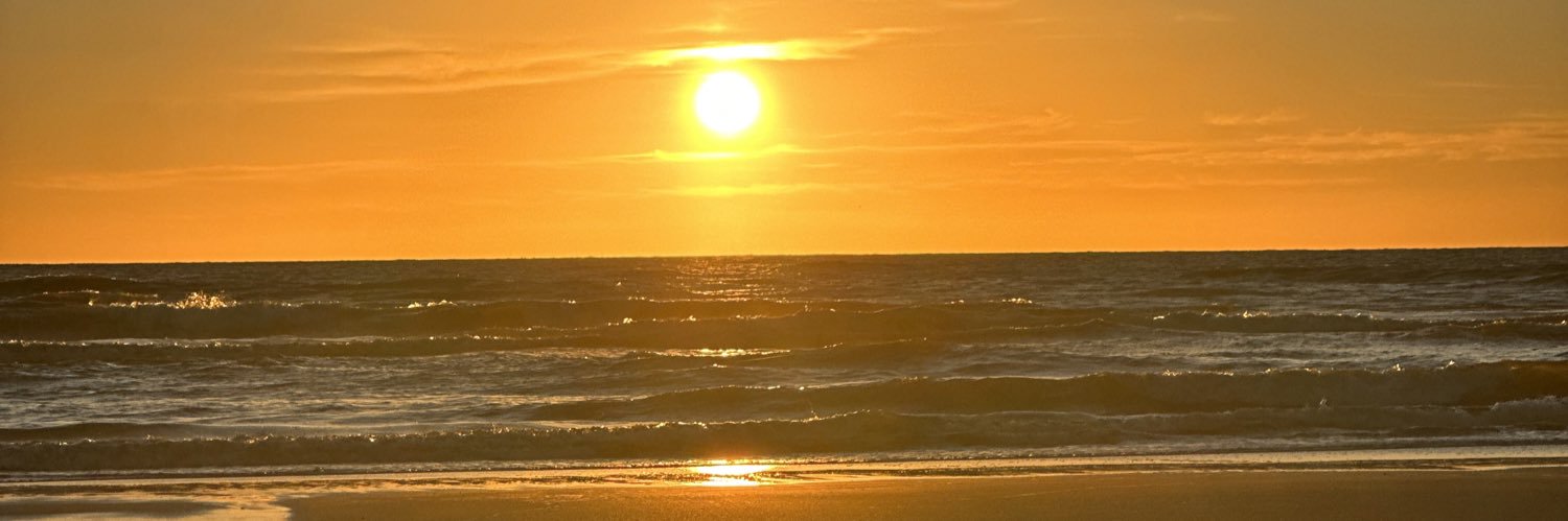 carlagosvidal's profile banner image