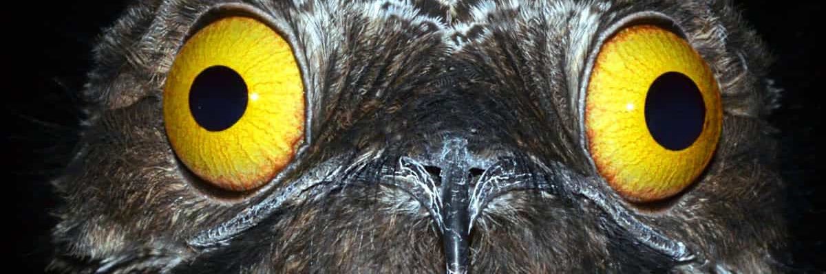 d8d12's profile banner image