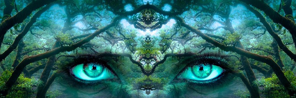 LetsGoDigiDetox's profile banner image