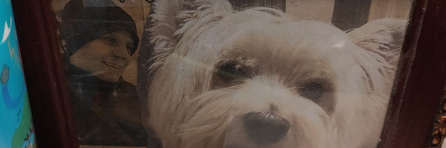 melrodgom's profile banner image