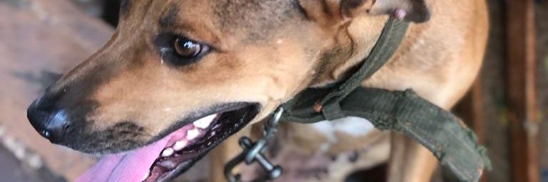 JordanEulogeWad's profile banner image