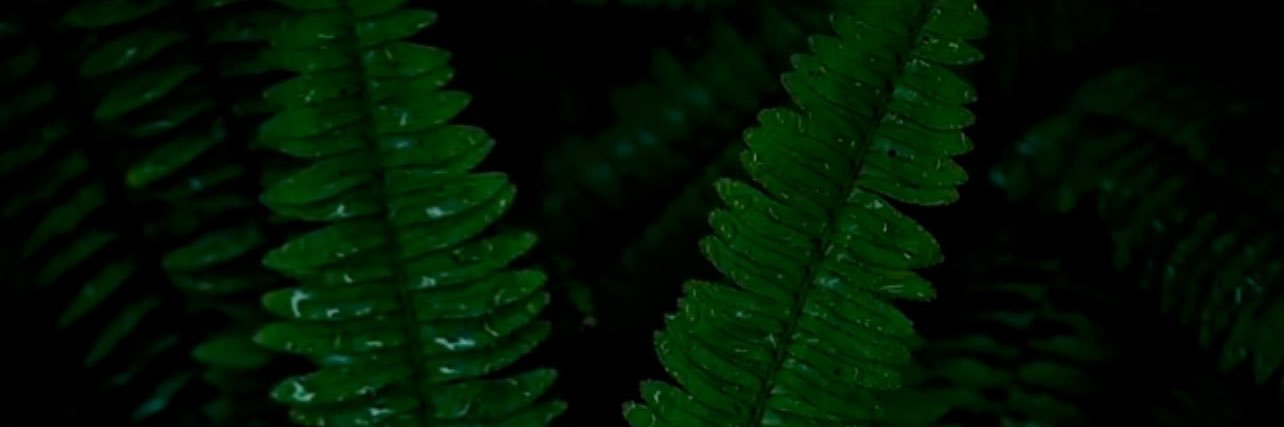 JonathanMMD's profile banner image