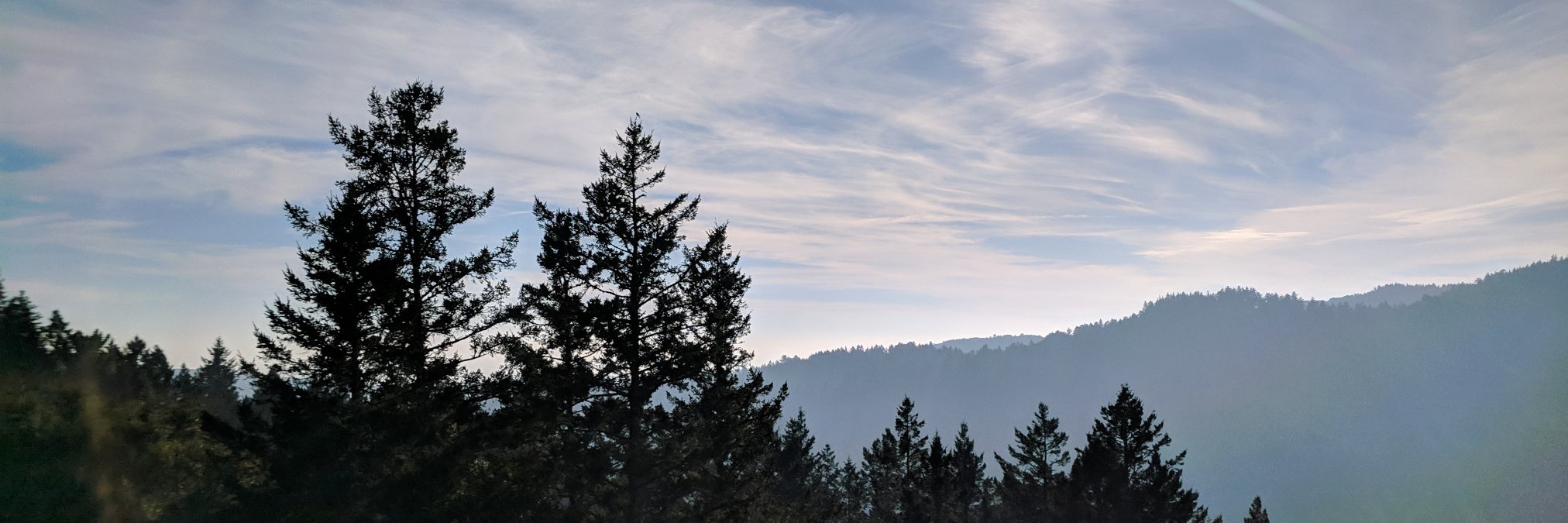erikaabullock's profile banner image