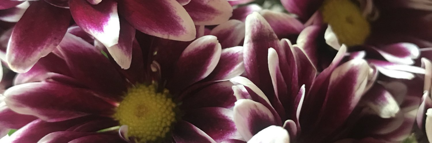 JennieRSpector's profile banner image