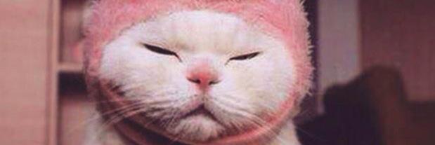 B6NGERZ's profile banner image