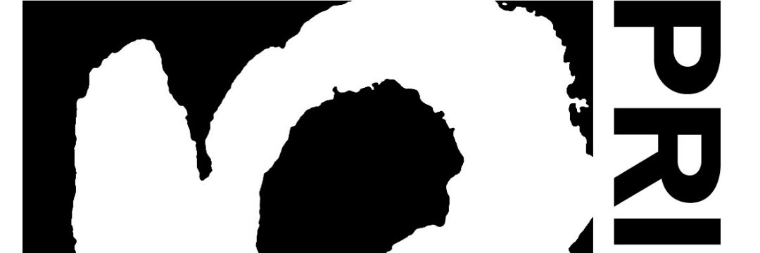 Primary Talent International banner