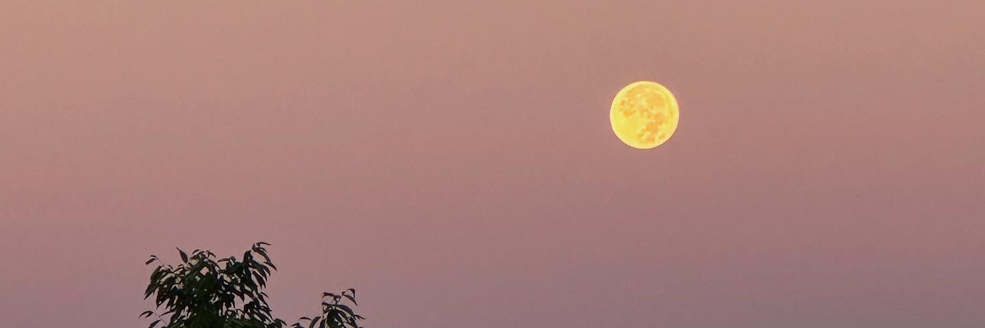 Adum_R's profile banner image