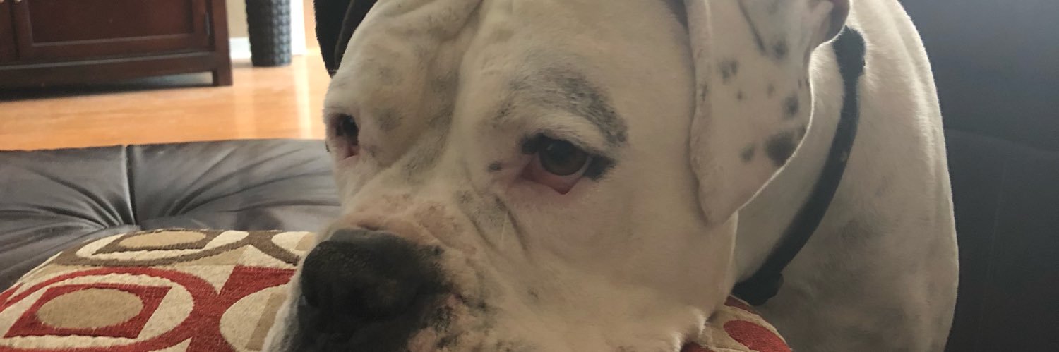 spillerallison's profile banner image