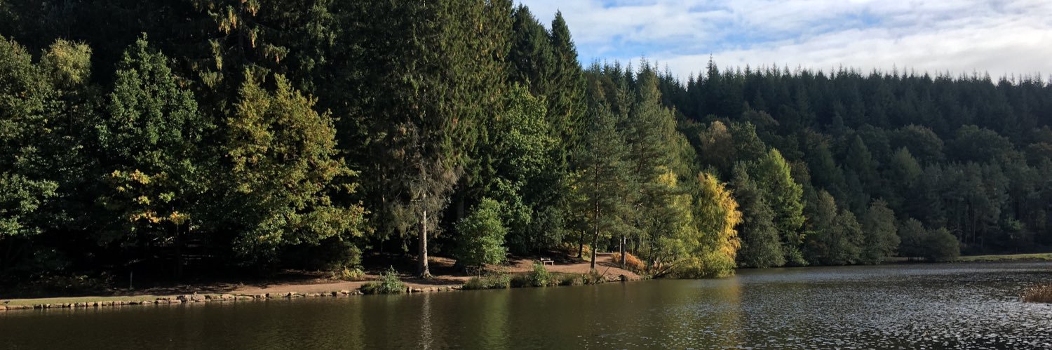 AbzPsych's profile banner image
