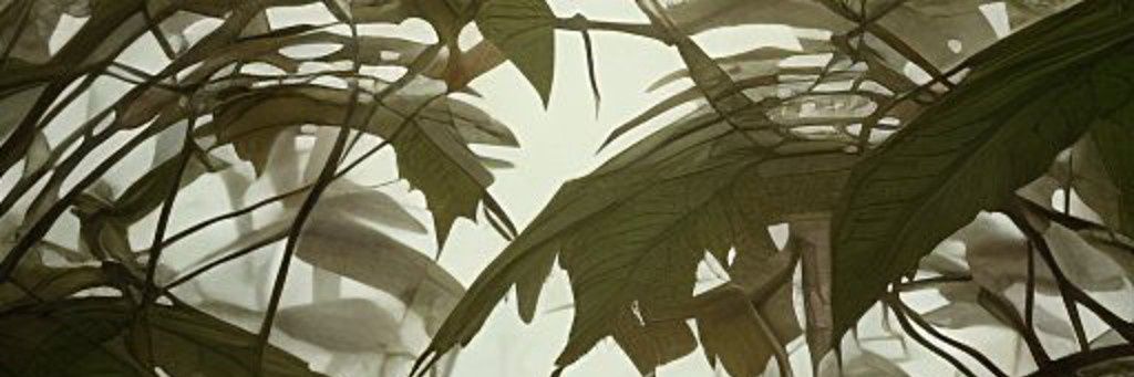 mdvmatteo's profile banner image