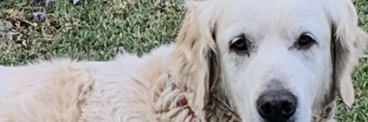 Selwyn Nathan banner