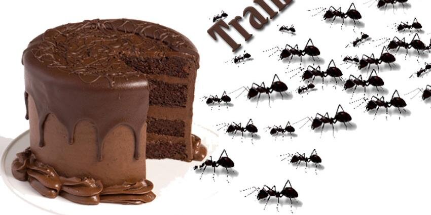 Maxi Web Visits banner