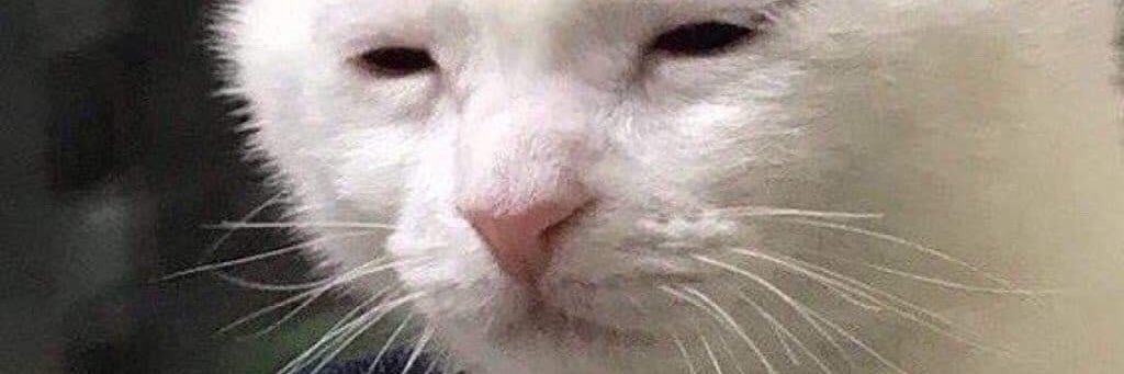 Jimmy Skelmo 4.20+6.9 banner