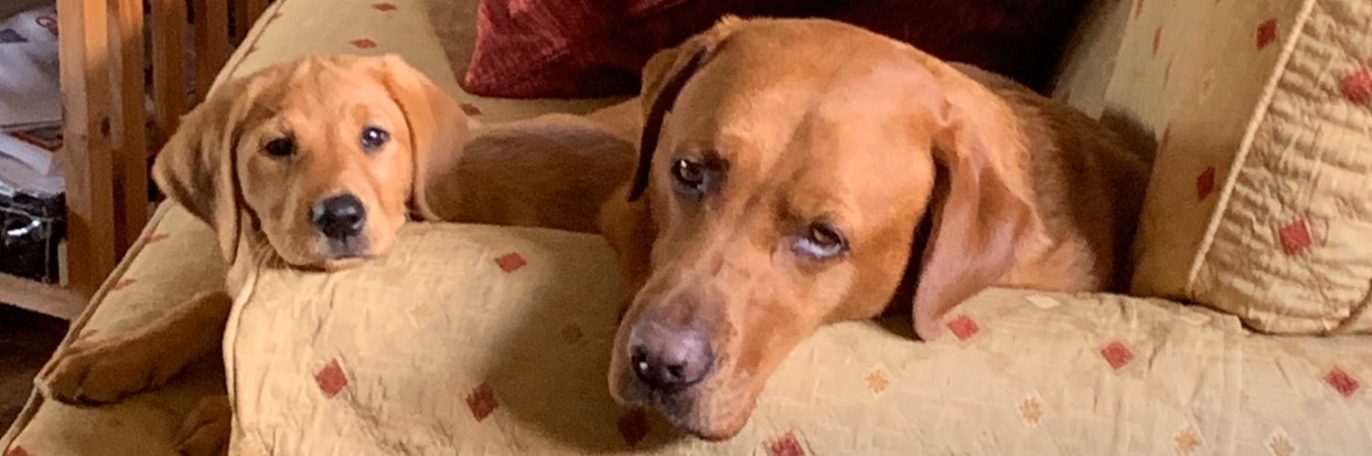 sally_pullen's profile banner image