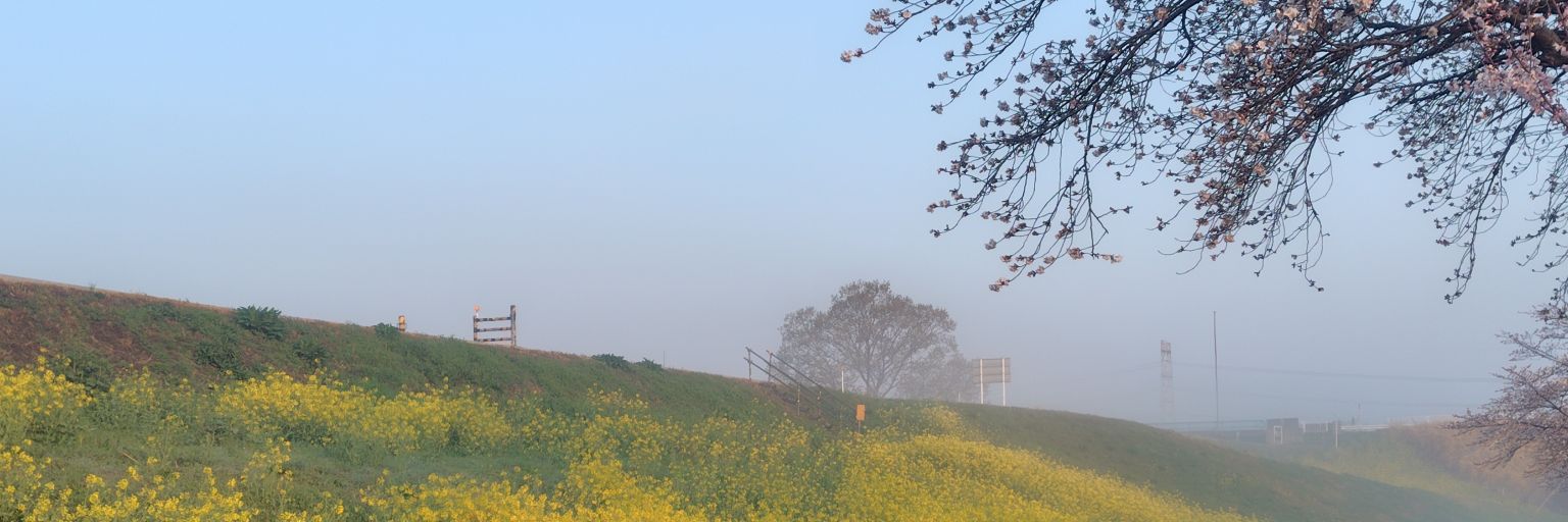 cmmay3416's profile banner image