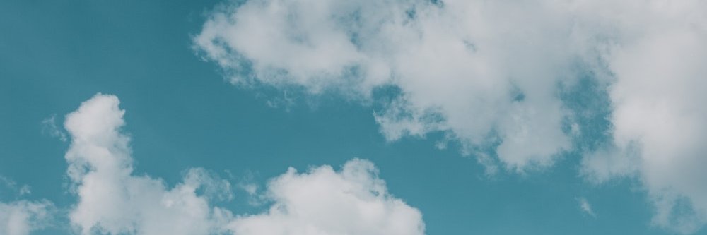 ashbulbasaur's profile banner image