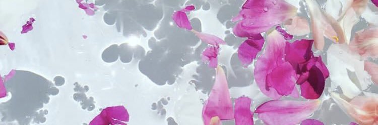 m_a335's profile banner image