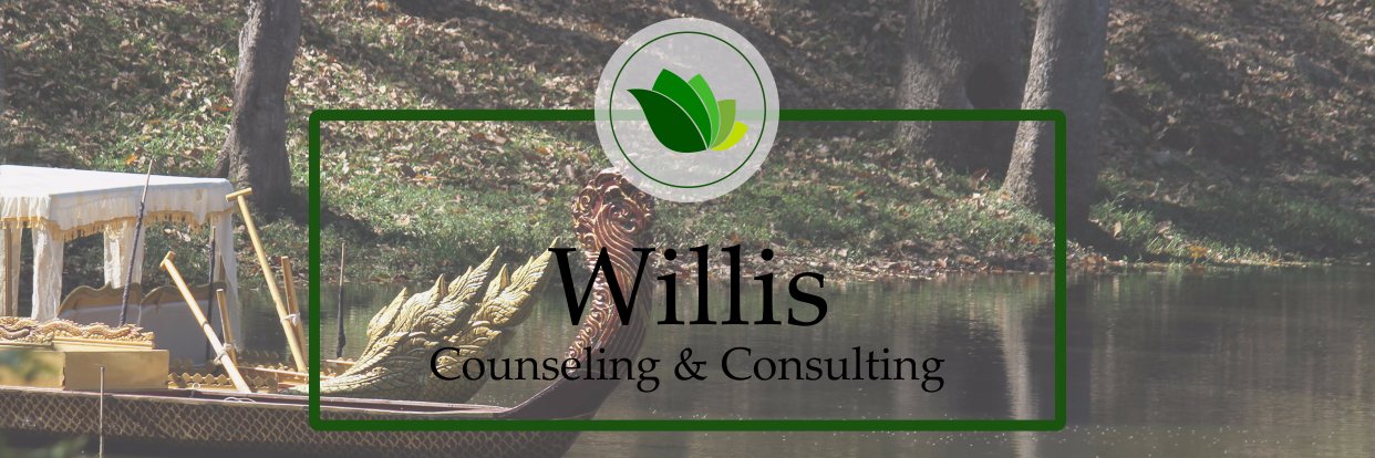 WillisCC's profile banner image