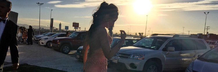 stephgaar's profile banner image