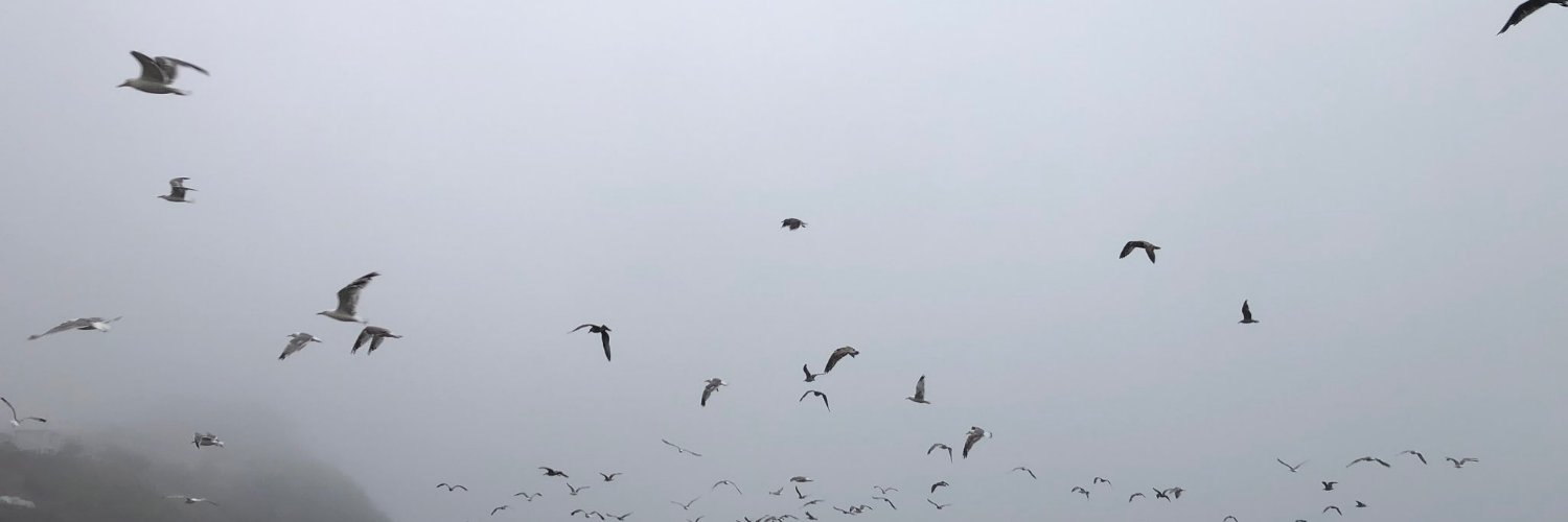 Obi Marsh Kenobi banner