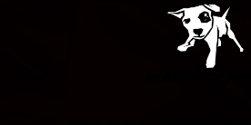 RocketDog_mgmt's profile banner image