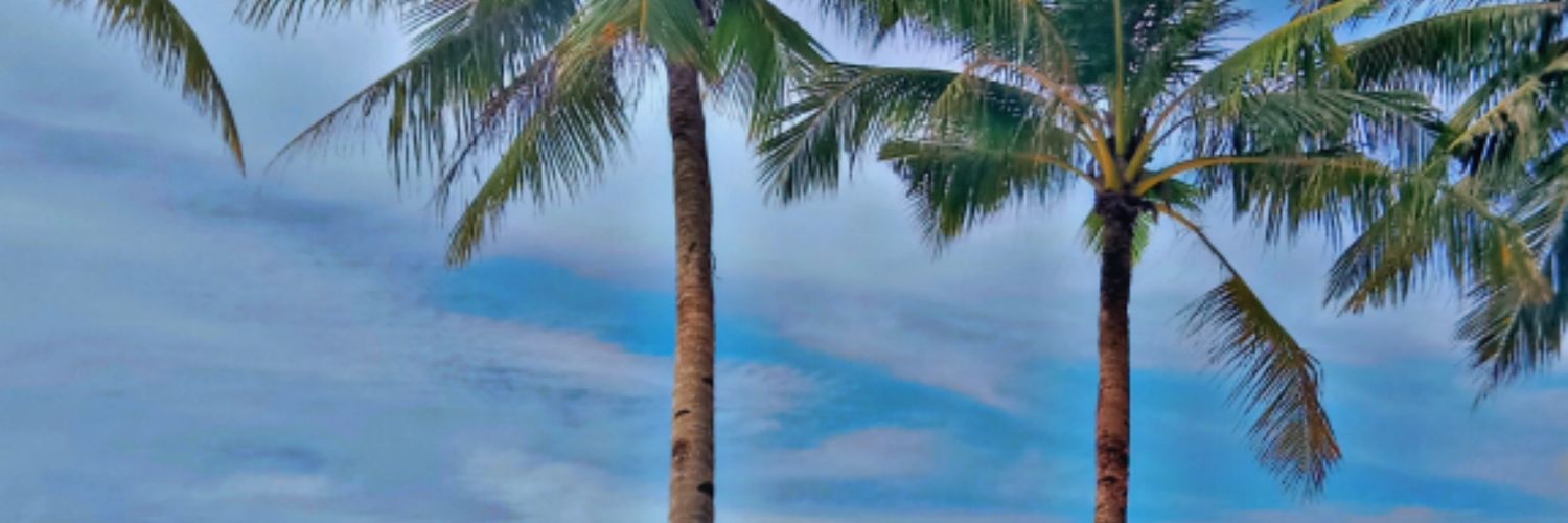 ellymntflco's profile banner image