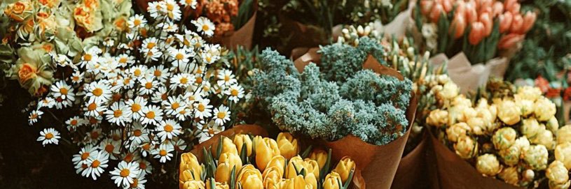 jennita de amor banner