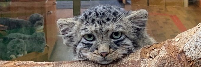 ふゆみかん🍊 banner