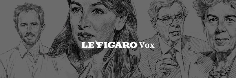 FigaroVox's banner